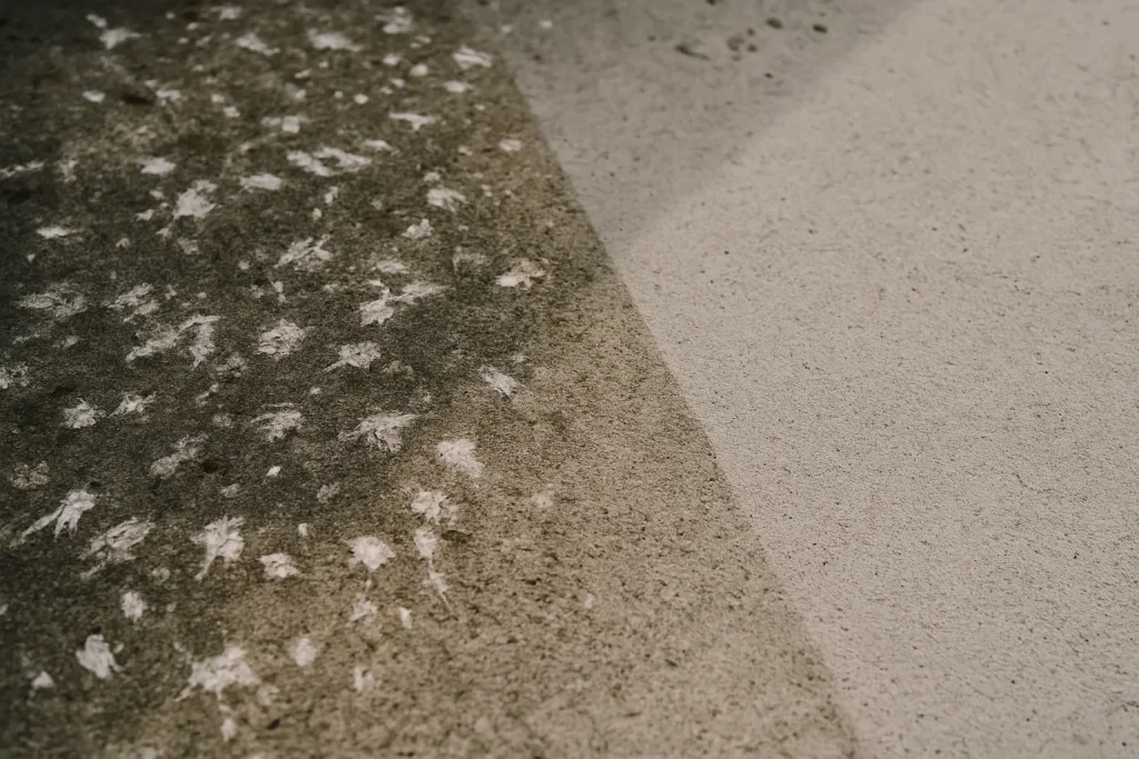 Surface en béton partiellement nettoyée, montrant l'efficacité d'un détergent contre les fientes de pigeons.