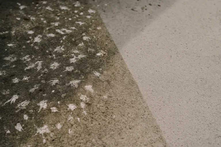 Surface en béton partiellement nettoyée, montrant l'efficacité d'un détergent contre les fientes de pigeons.